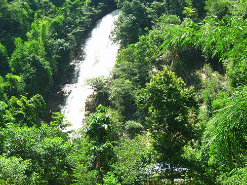 thac dakala o huyen da teh ve dep thuan khiet giua rung xanh. - Thác Đakala ở huyện Đạ Tẻh – vẻ đẹp thuần khiết giữa rừng xanh