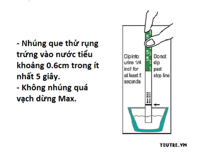 Sử dụng que thử rụng trứng đúng cách giúp xác định đúng thời điểm rụng trứng - Ảnh Interent