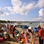 cho hai san phan thiet2 150x150 - Review Bãi Sao Phú Quốc - bãi biển đẹp nhất Việt Nam