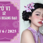 tu vi 12 cung hoang dao 2025 06 11t071510346 07202911 150x150 - Tử vi 12 cung hoàng đạo ngày 11/6: Bạch Dương khó khăn, Thiên Bình phát triển